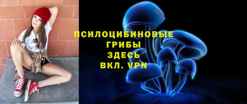 OMG ссылки  купить  сайты  Тольятти  Псилоцибиновые грибы Cubensis 